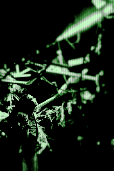 Screen Shot 2021-11-21 at 4.56.23 PM